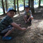 phoca_thumb_m_2. den vp  28 Fotogalerie